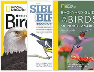 best birding books