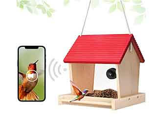 best bird feeder with a camera