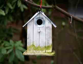 do birdhouses need to be cleaned do birdhouses need to be cleaned