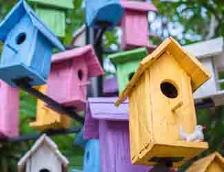 all about birdhouses