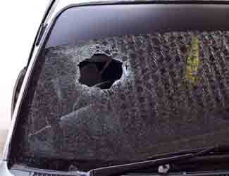 bird having attacked car window stop birds attacking car windows