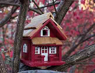 birdhouses birds will use