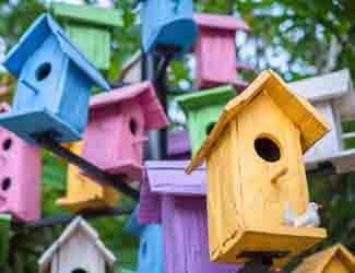 birdhouse pros cons birdhouse pros cons