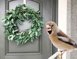 keep birds from nest building in wreaths