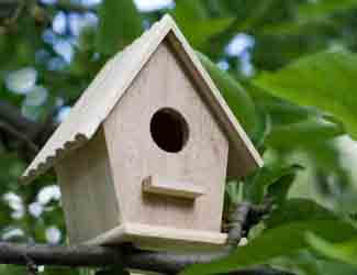 how to care for birdhouses so birds keep coming back