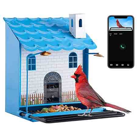 amoejove bird feeder