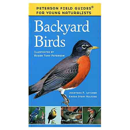 backyard birds