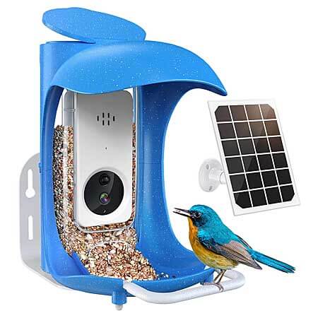 bird feeder with camera bird dock bird feeder
