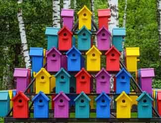 colorful bird nest what bird houses attract bluebirds