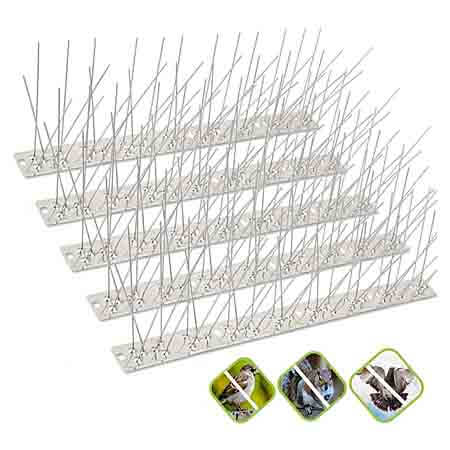 bird spikes
