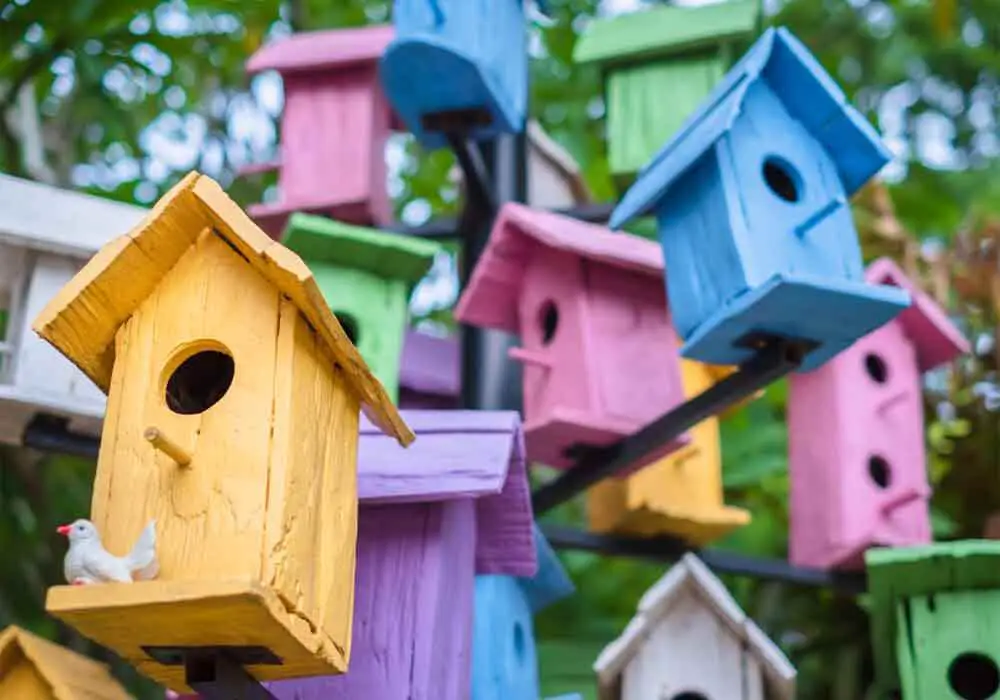 What kind of Birdhouses attract bluebirds
