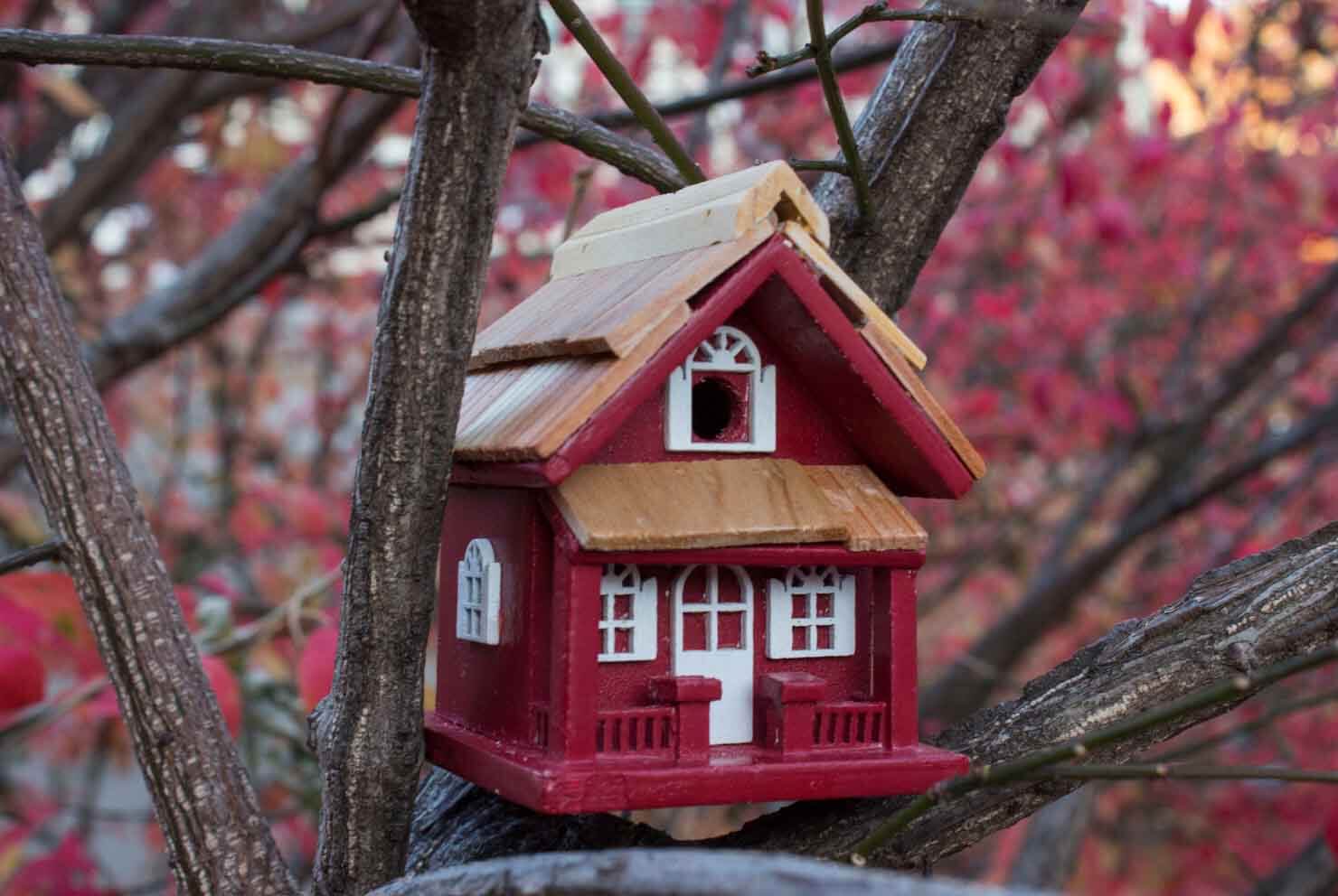 When it comes to how to care for birdhouses there’s the right way to do things and the wrong way. Make sure to follow these tips, otherwise they won't return.