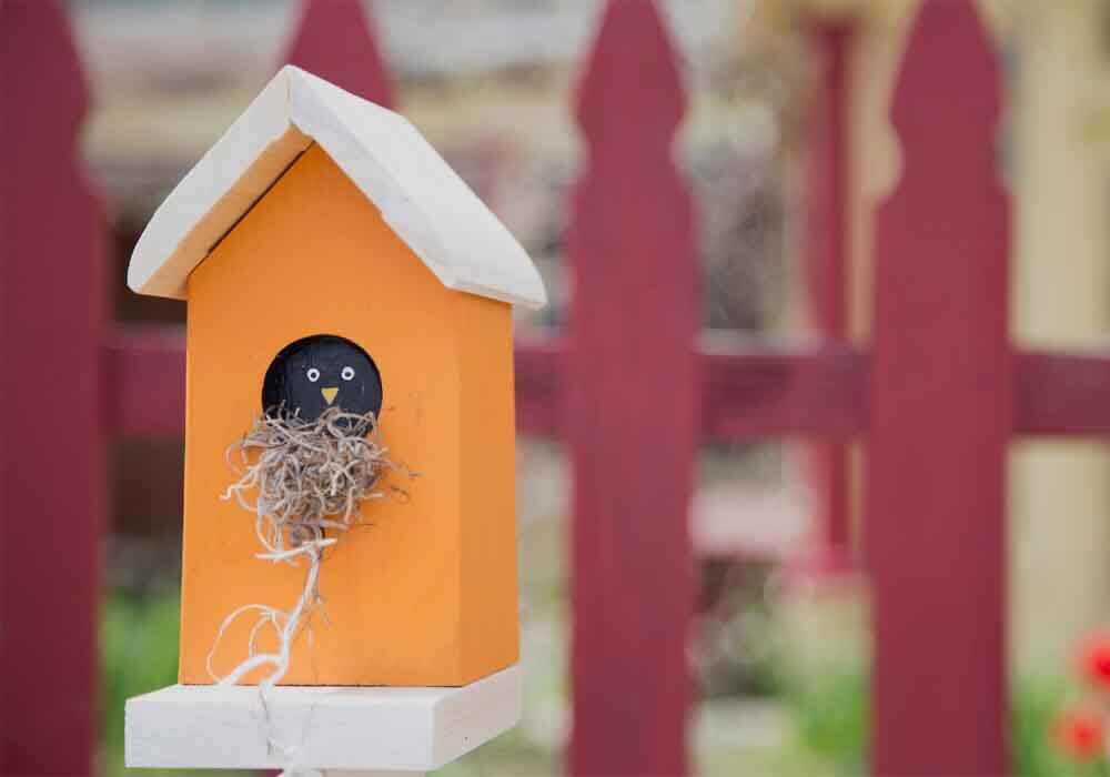Birdhouse Pros And Cons Things To Consider Beforehand...