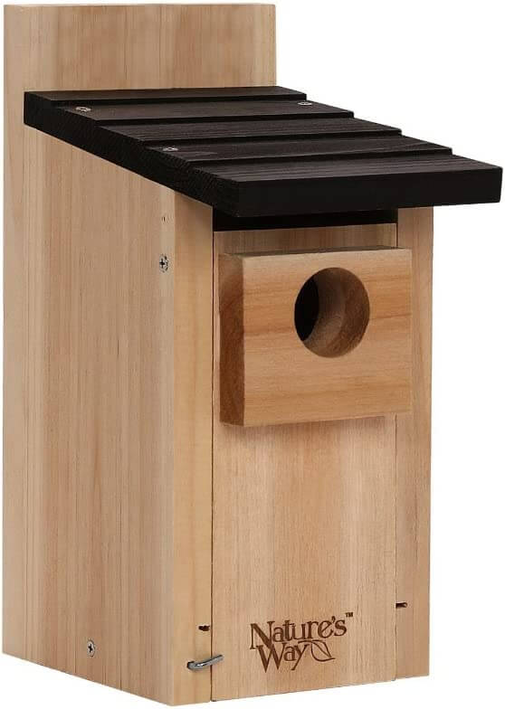 bluebird birdhouse1
