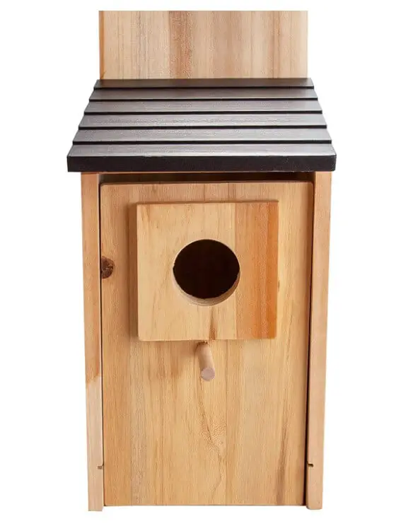 BlueBirdHouse-2