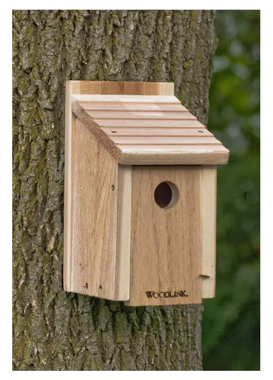 BlueBirdHouse-3