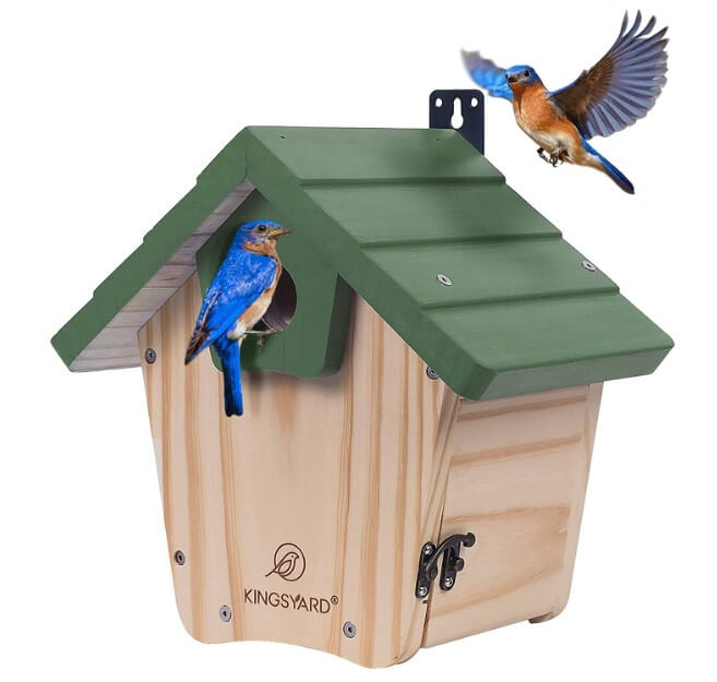 BlueBirdHouse-5