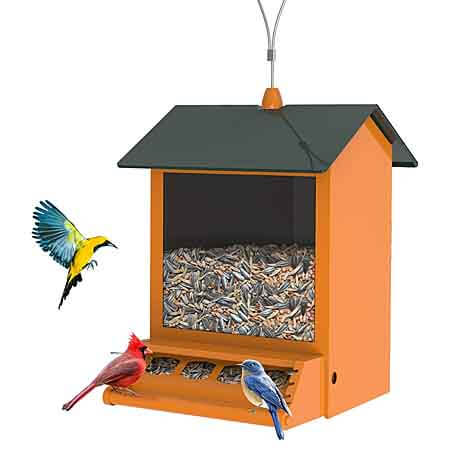 digipettor bird feeder