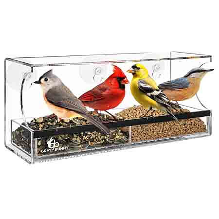 Gray Bunny Suction bird feeder