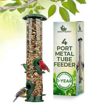 Bird Feeder
