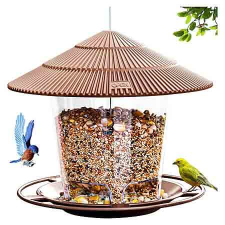 Hanizi Wild Bird Feeder