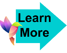 Learn More Hummingbird 1 Learn More Hummingbird 1
