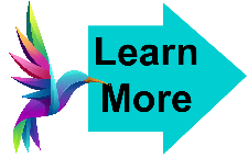 Learn More Hummingbird 3