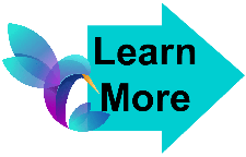 Learn More Hummingbird 4 Learn More Hummingbird 4