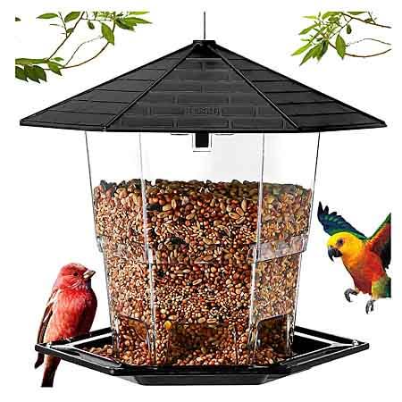 birds hovering around a bird feeder jealoeur bird feeder