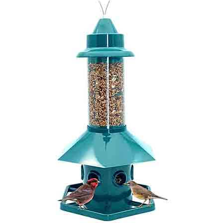 krudo bird feeder