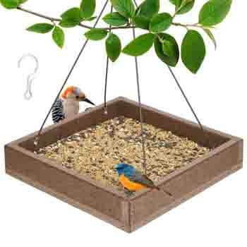 kingsyard feeder kingsyard feeder