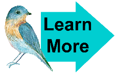 Learn More General 1 Learn More General 1