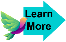 Learn More General 7 Learn More General 7