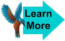 Learn More General 1