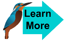 Learn More General 4