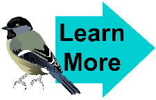 Learn More General 6 Learn More General 6