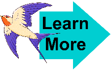 Learn More General 8 Learn More General 8