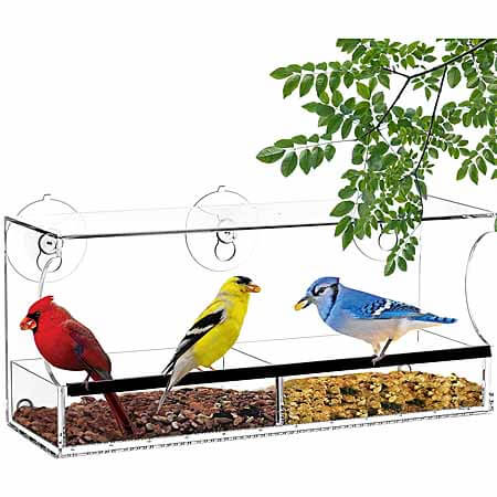 clear window feeder natures hangout bird feeder