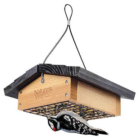 natures way bird feeder natures way bird feeder