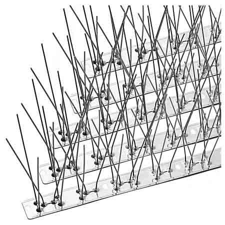 anti bird spikes bird spikes