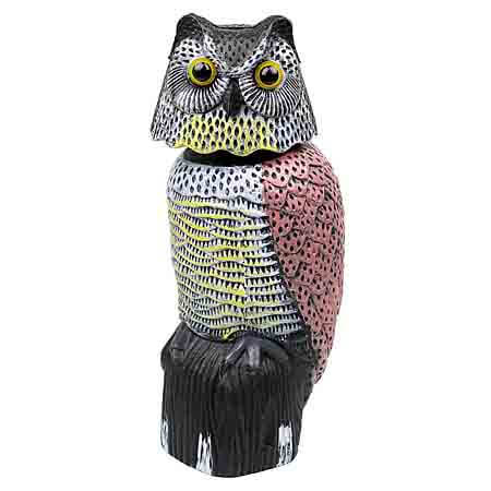 owl decoy