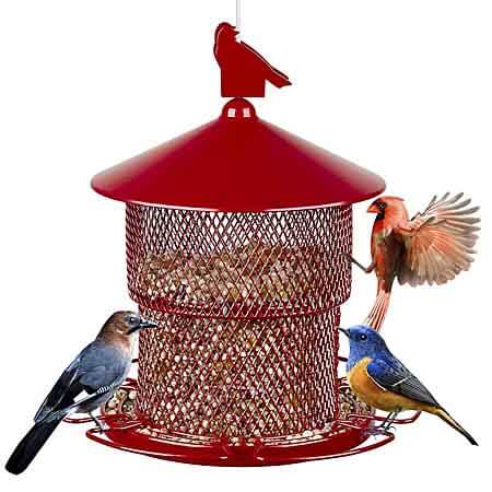 rexgo bird feeder