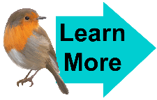 Learn More Robin 2 Learn More Robin 2