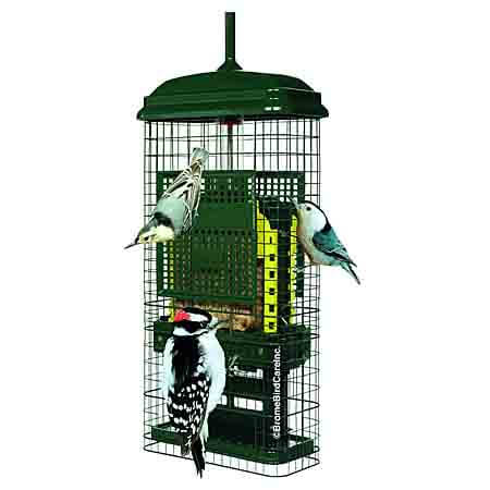 Squirrel Buster Suet Bird Feeder
