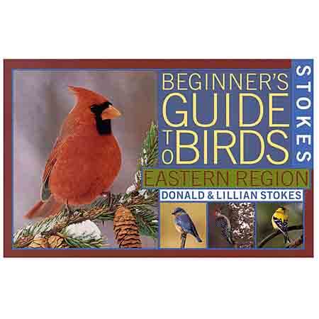 stoakes guide to birds