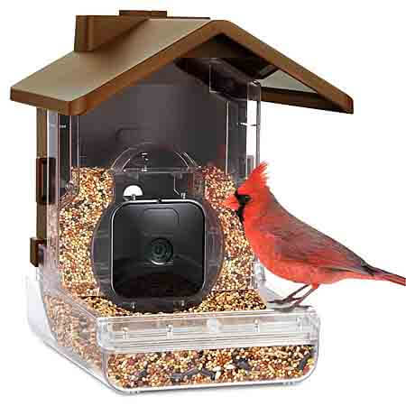 wasserstein bird feeder
