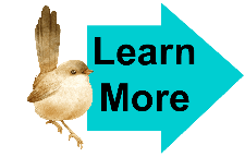 Learn More Wren 1 Learn More Wren 1