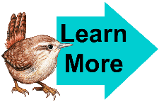 learn more arrow learn more arrow