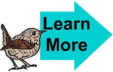 Learn More Wren 3