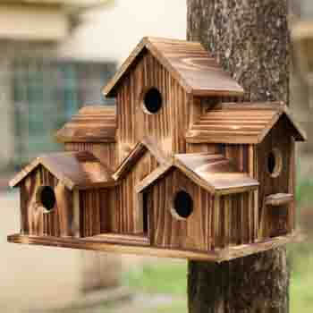 xaogua birdhouse xaogua birdhouse